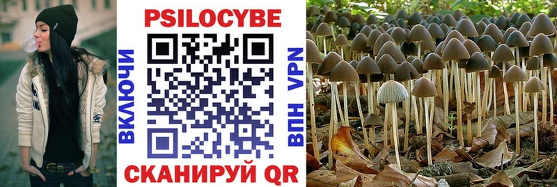 Галлюциногенные грибы прущие грибы  где купить наркоту  Кубинка 